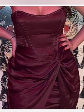 Zara Strapless Brown Satin corset Mini Dress